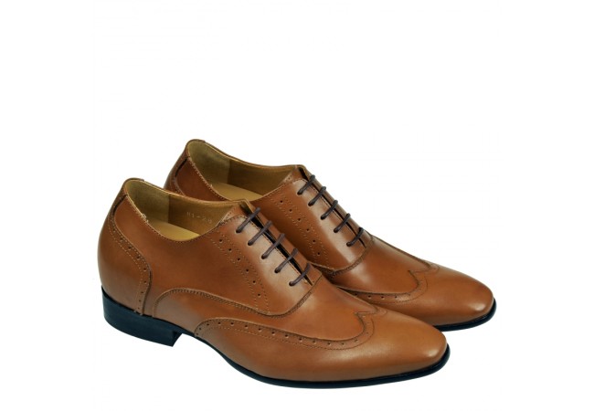 New HossoShoes New HossoShoes